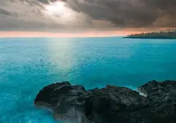 重磅：Rookie主教练3选1(rookie是哪个队的)